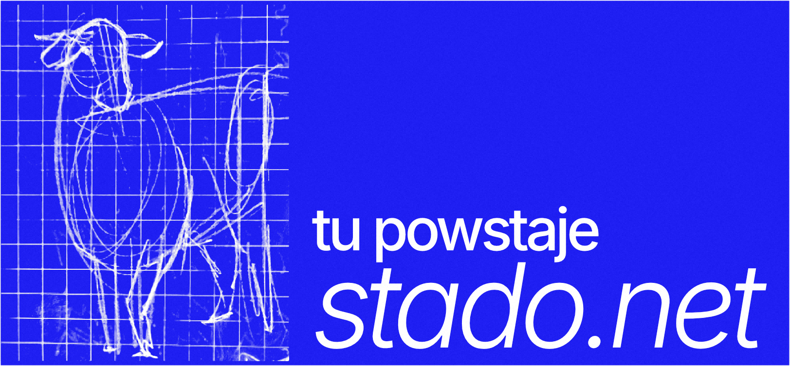 tu powstaje stado.net
